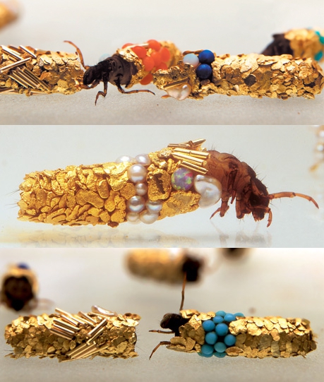 Hubert Duprat, 'Caddis', Jewel encrusted fly larvae.