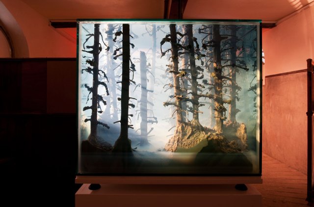 Mariele Neudecker, Things Can Change In A Day, 2009. Mariele Neudecker, Things Can Change In A Day, 2009.