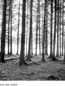 Philip Braham's photograph of places in Scotland where people have committed suicide.