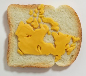 Tibi Tibi Neuspiel Canada on White 2011 Tibi Tibi Neuspiel, Canada on White, 2011 (edition of 10). Oil paint, pigmented beeswax, steel, magnet.