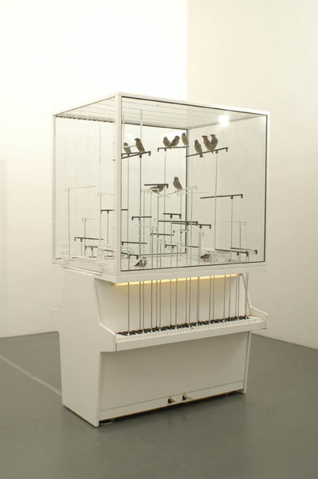 Canaries playing pianos in Robert Gligorov's, 'Dollar Note', 2006.