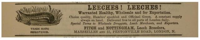 Leeches! Leeches! Advertisement for Fitch and Nottingham Leech Breeders in London, England. 19th century. 