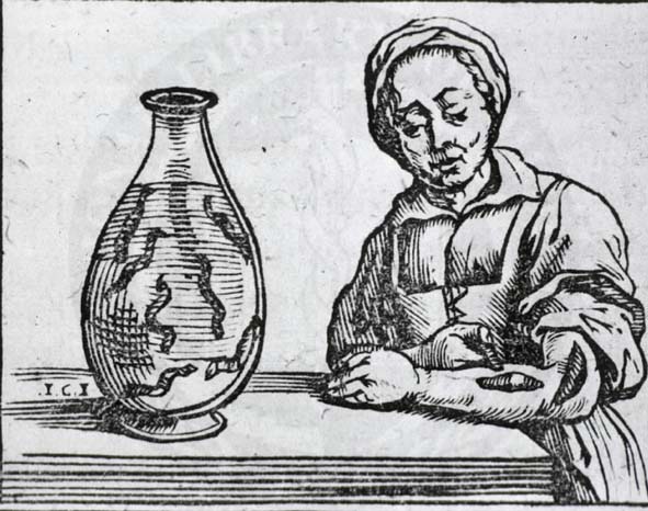 Bloodletting with leeches. From a text by Guillaume van den Bossche appearing on page 431 ofHistoria medica, in qua libris IV. animalium natura, et eorum medica utilitas esacte and uculenter (Brussels: Joannis Mommarti, 1639). 