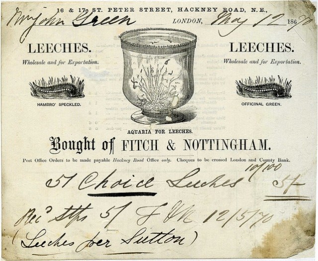 An invoice for 57 choice leeches from Fitch and Nottingham in London, sold to Swindon businessman Mr John Green, 12 May 1870