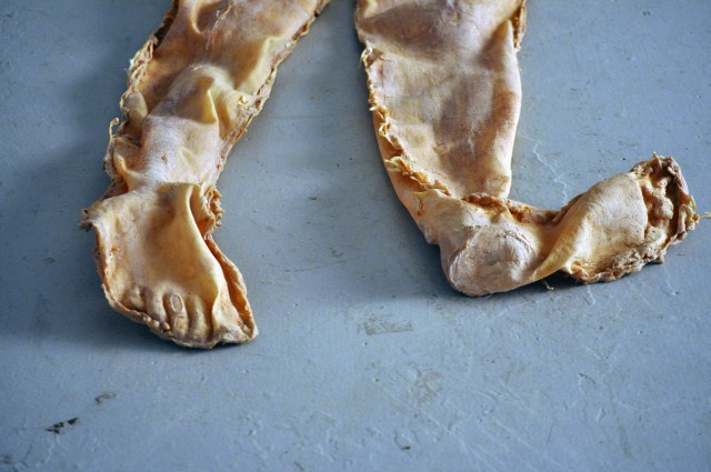 James Lomax, 'Untitled (My Friend and I)' [detail], 2011.