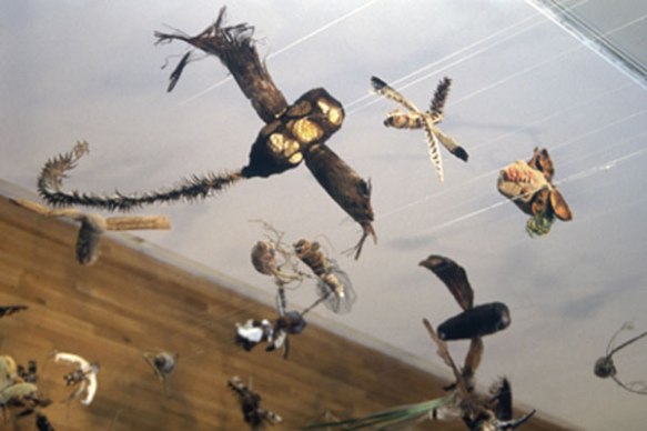 Tila Rodriguez-Past: little monsters made of things collected from a monastery.