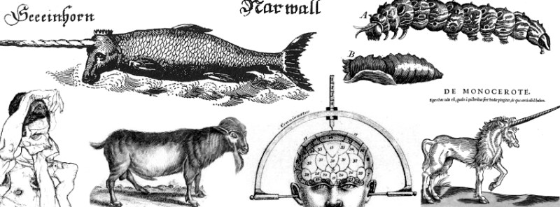 Contact | The Museum of Ridiculously Interesting Things