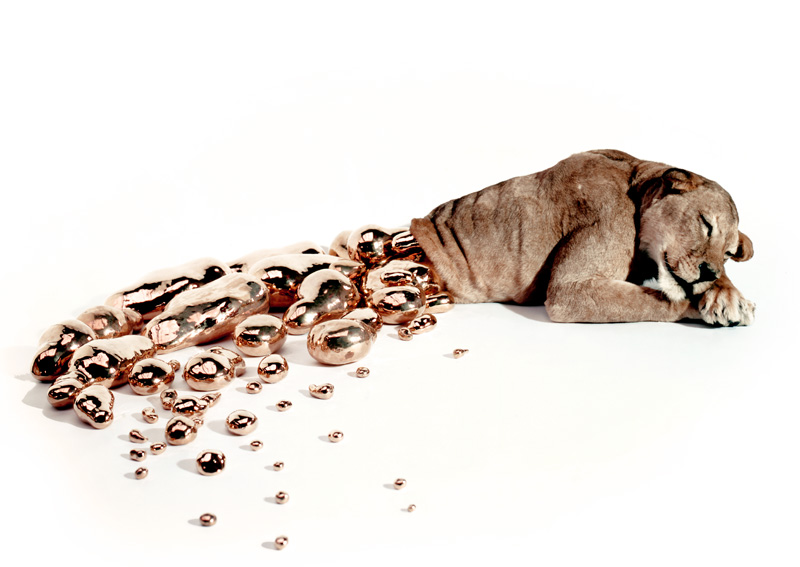 The Museum of Ridiculously Interesting Things | a collection of ...