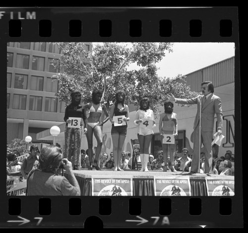 Gary Owens with the gorilla mask wearing contestants of the Most Beautiful Ape contest, 1972.