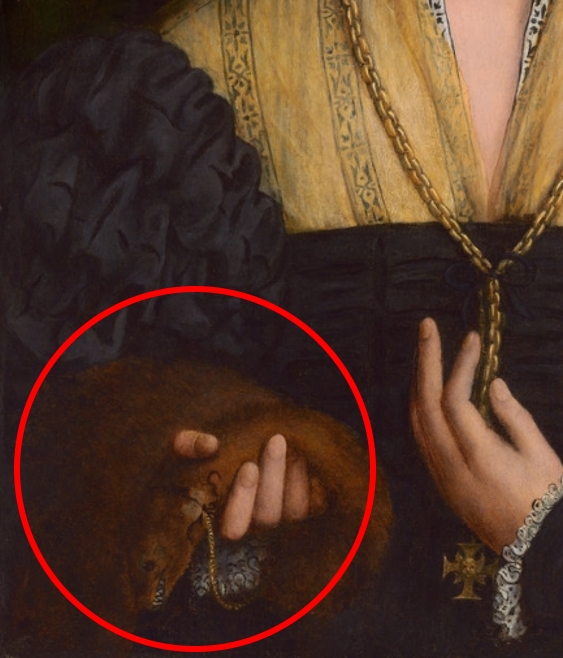 Painting detail of a noblewoman holding a brown weasel with vicious looking teeth