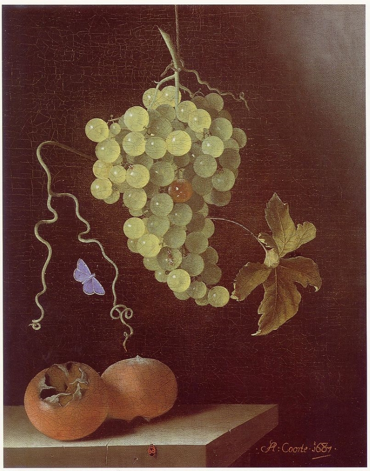 Oil painting of a hanging cluster of grapes, purple butterfly and two medlar fruits against a black background