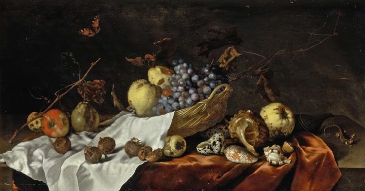 Still life painting of a table covered with shells, medlar fruits, grapes and branches. A butterfly flies over the table, and a small lizard sits to the right.