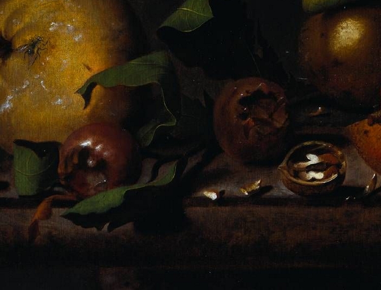 Detail of still life showing two medlars against a quince
