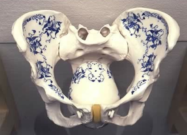 The Museum of Ridiculously Interesting Things | a collection of ...