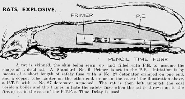 Exploding rats | The Museum of Ridiculously Interesting Things