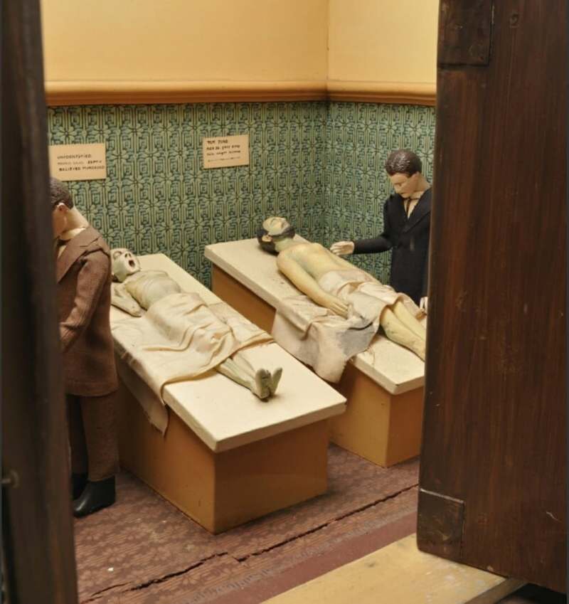 The Museum of Ridiculously Interesting Things | a collection of ...